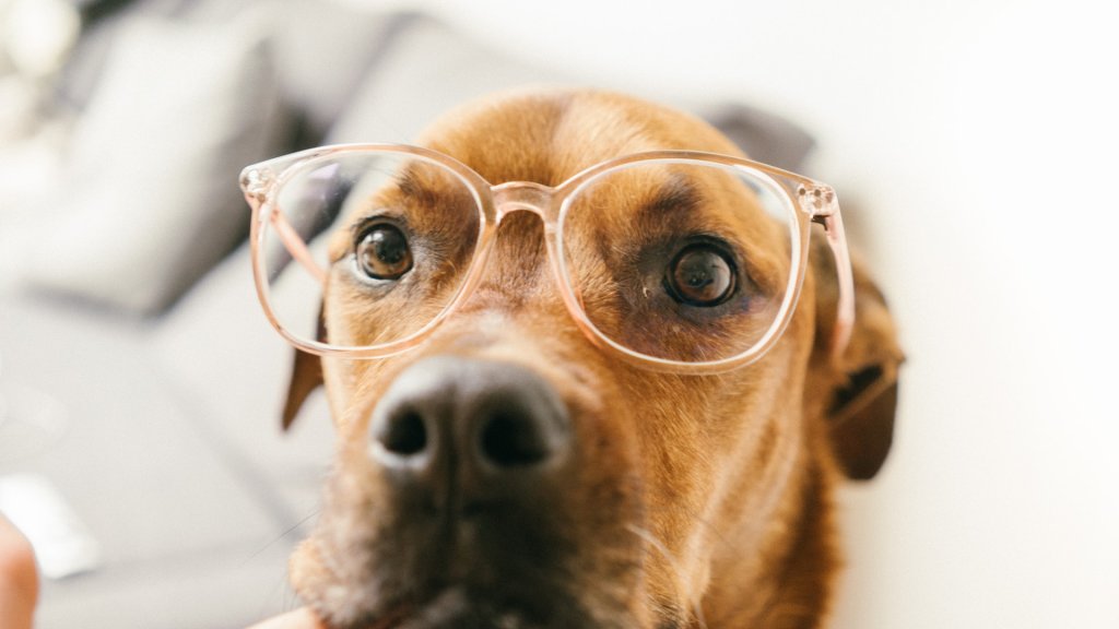 ruby-schmank-Zk3t0u_p4pE-unsplash