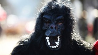 gorilla-man_2932101b
