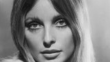 Sharon_Tate_Valley_of_the_Dolls_1967_-_Restoration