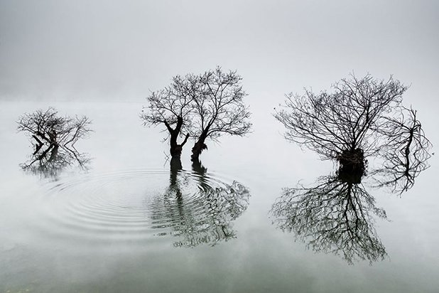 South Korea National Award: "Ripples in the calm lake, Доуон Чой