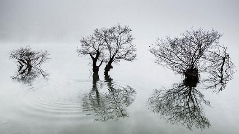South Korea National Award: "Ripples in the calm lake, Доуон Чой
