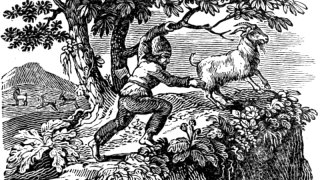Плъхове, котки и диви кози: четири години от живота на един пират извън цивилизацията