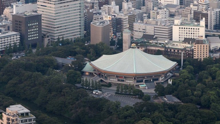 Нипон Будокан (джудо, карате)