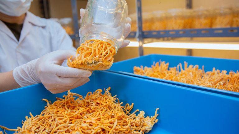 Не, не искаме да ви притесняваме