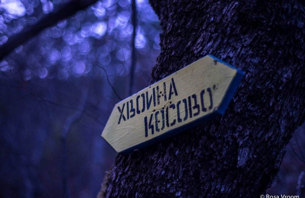 011Xvoina