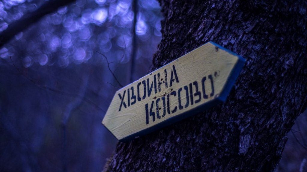 011Xvoina