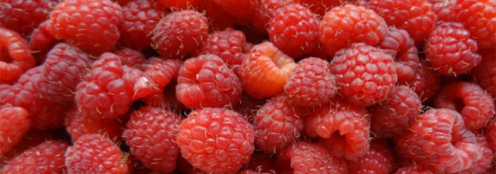 raspberry