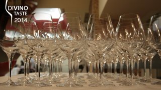 Divino Taste-1