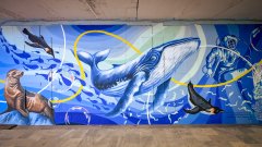 Арт графити украсиха обновен подлез на "Цариградско шосе" (СНИМКИ)