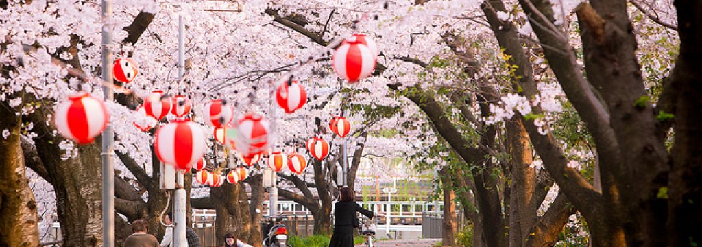 hanami