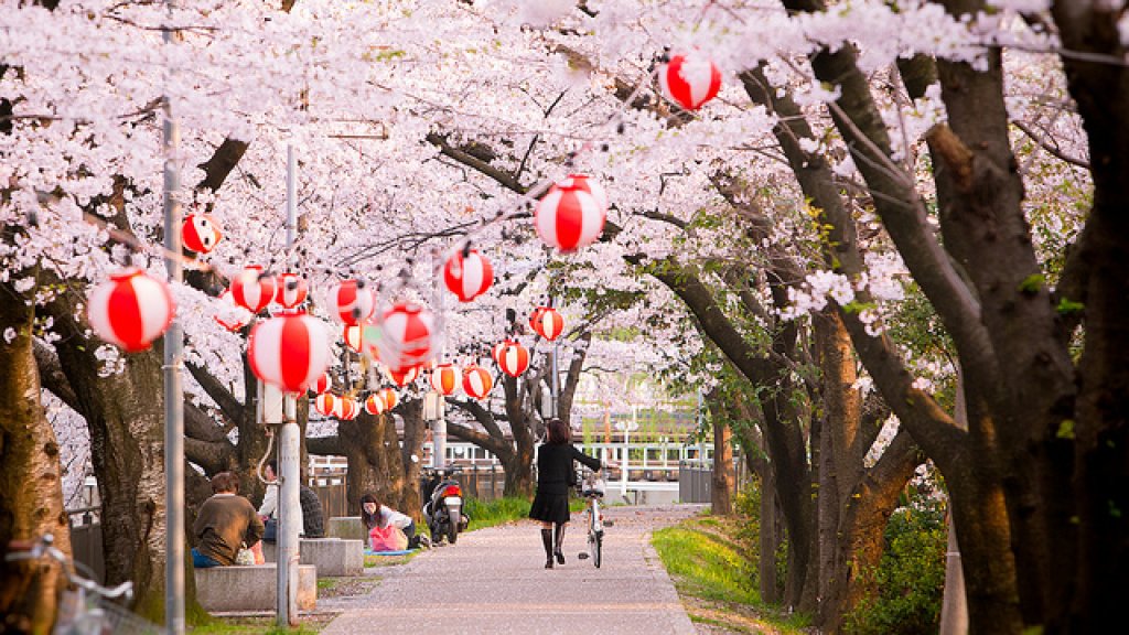 hanami