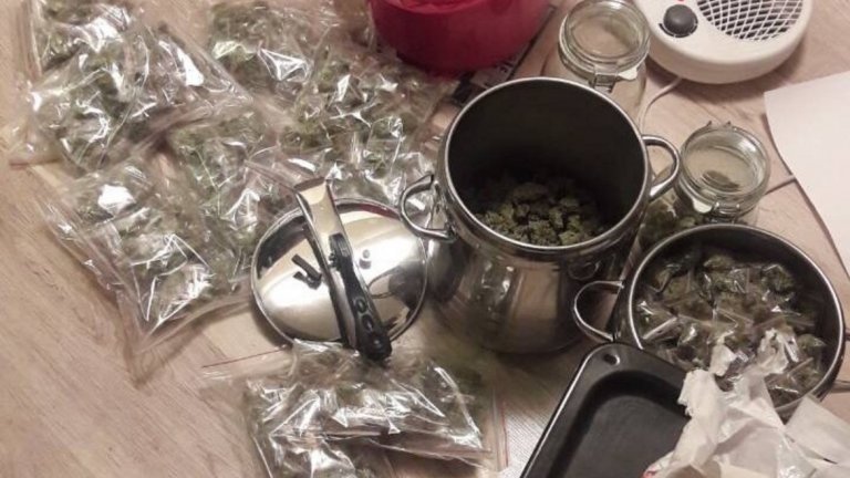 Разбиха престъпна група за разпространение на наркотици в София