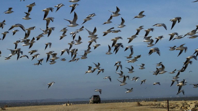 Знам какво направи миналото лято