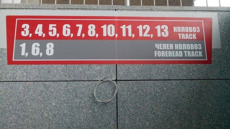 Снимката е направена на 8 август