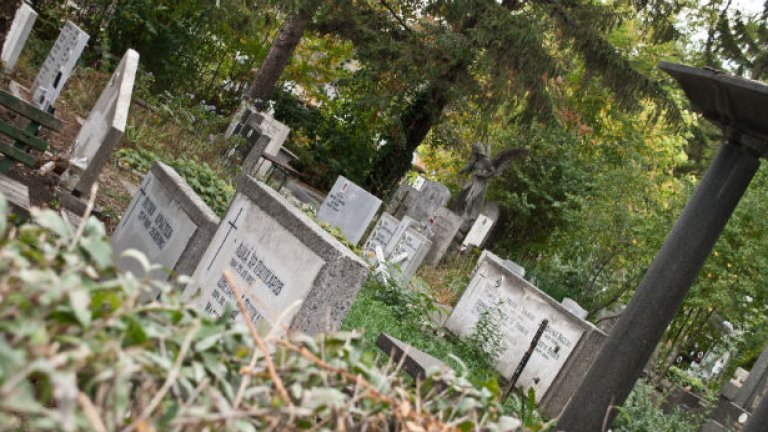 Втори опит да се върнат гробниците, предлагани от един единствен гробищен парк у нас - т.нар. "гробище за богатите"