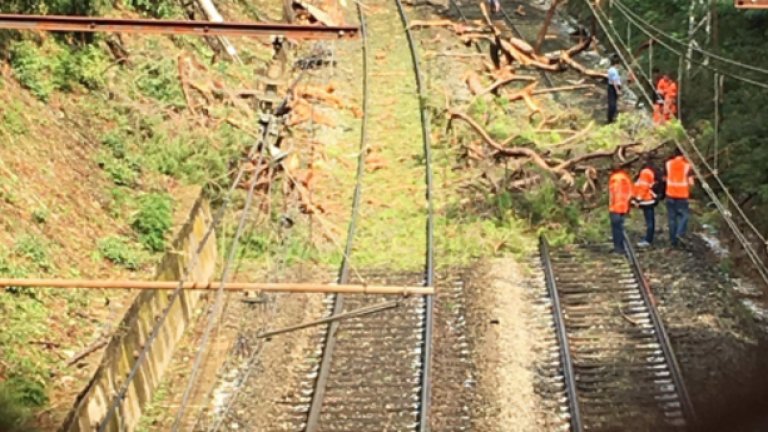 Влакът е катастрофирал в дърво, паднало на релсите