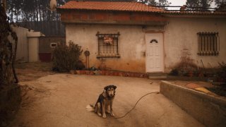 португалия, пожар
