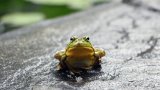 austin-santaniello-rDrcMdvXzUw-unsplash