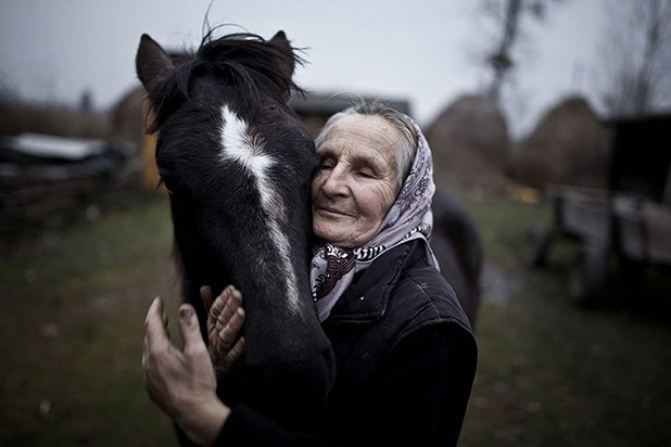 Poland National Award: “The inhabitant of Szack of Ukraine and her horse", от Матеуш Баж