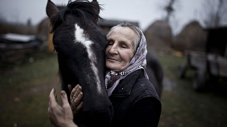 Poland National Award: “The inhabitant of Szack of Ukraine and her horse", от Матеуш Баж