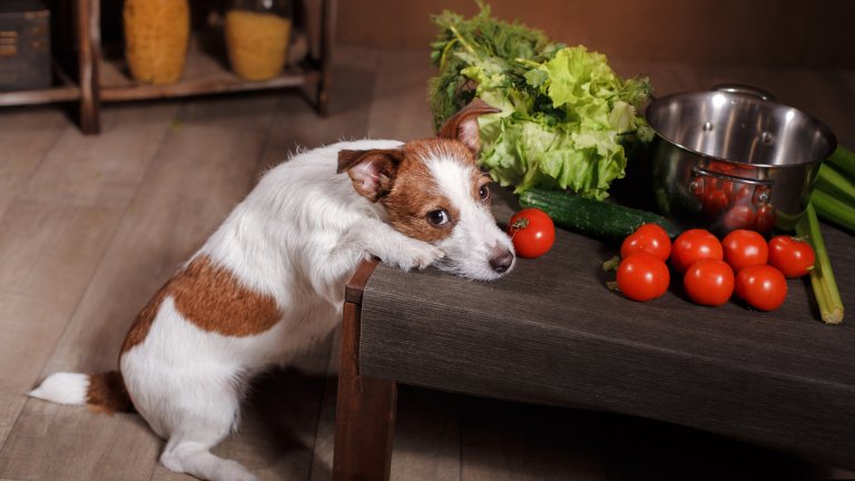 Все още няма достатъчно проучвания по въпроса, предупреждават специалистите. И все пак не е съвсем невъзможно