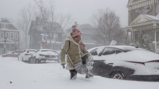 Учените още не знаят доколко те са в резултат от климатичните промени