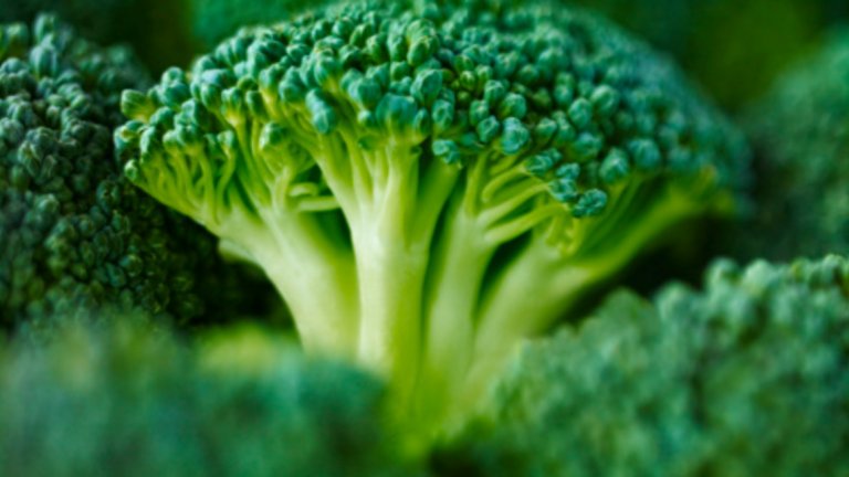 Броколи - 31 калории / 100 гр. 
Броколите често се ядат варени или задушени, но могат да се консумират и сурови. Богати са на витамин С и съдържат сравнително високо количество протеин. Съдържат уникална комбинация от антиоксиданти, противовъзпалителни и компоненти, спомагащи детоксикацията. Смята се за изключително полезна храна по отношение превенцията на ракови заболявания.