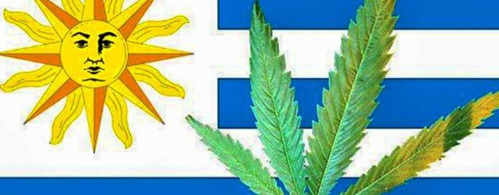 Uruguay-First-Country-to-Legalize-Marijuana_0