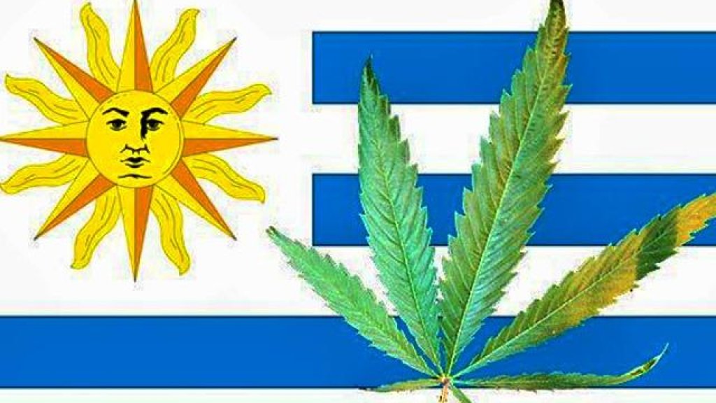 Uruguay-First-Country-to-Legalize-Marijuana_0