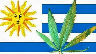 Uruguay-First-Country-to-Legalize-Marijuana_0