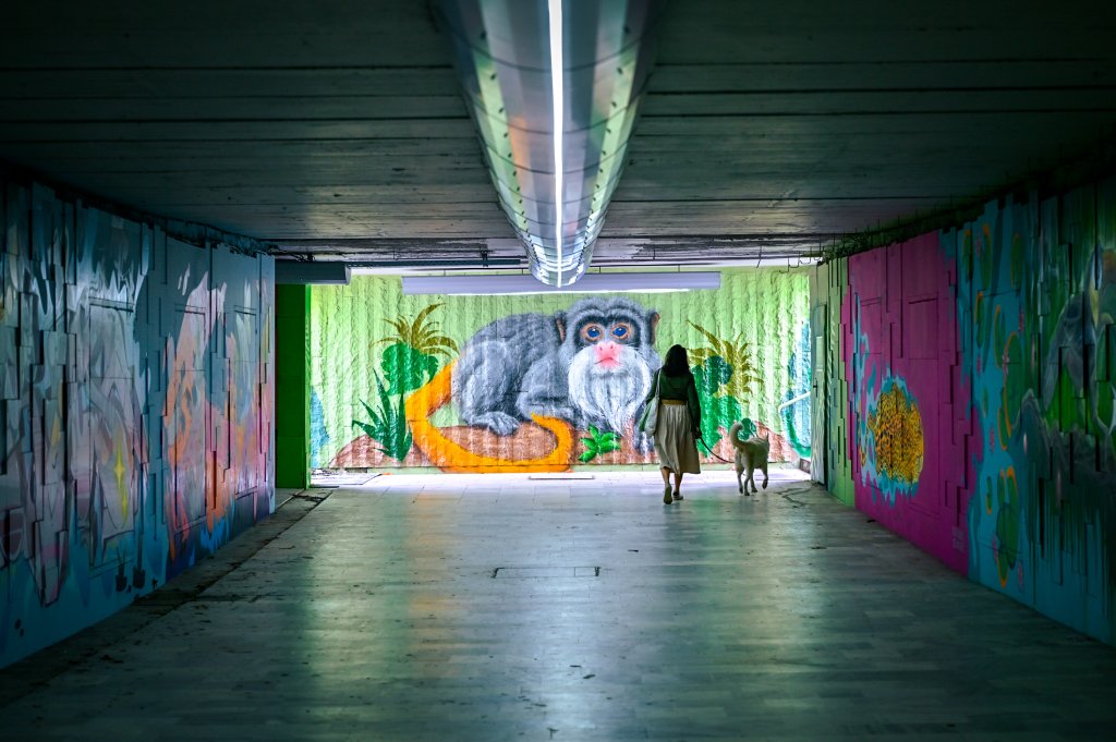 Арт графити украсиха обновен подлез на "Цариградско шосе" (СНИМКИ)