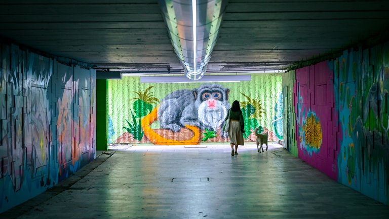 Арт графити украсиха обновен подлез на "Цариградско шосе" (СНИМКИ)