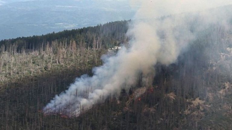 При пожара от юли 2012 г. изгоря 300 дка гора