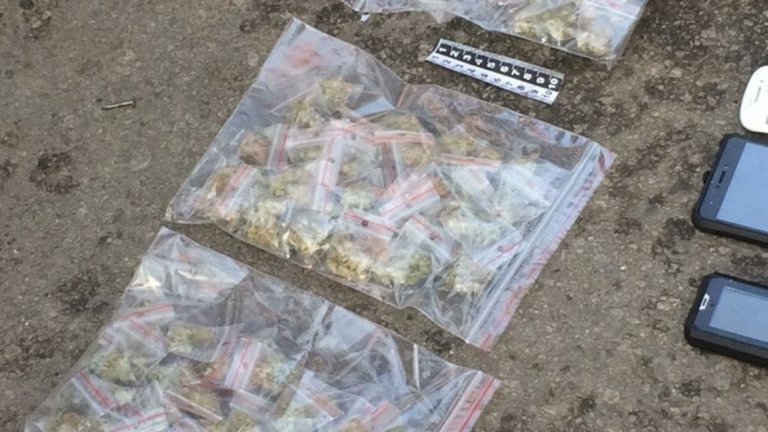 Разбиха престъпна група за разпространение на наркотици в София