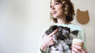 котенца, кафе, кафене, момиче