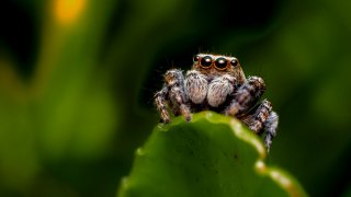 erik-karits-bdHfhlThd_k-unsplash