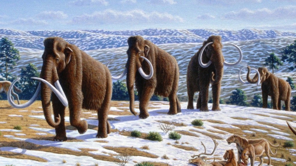 Woolly_mammoth_(Mammuthus_primigenius)_-_Mauricio_Antón