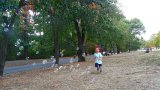 Последно: може ли с колело в парка или не може?