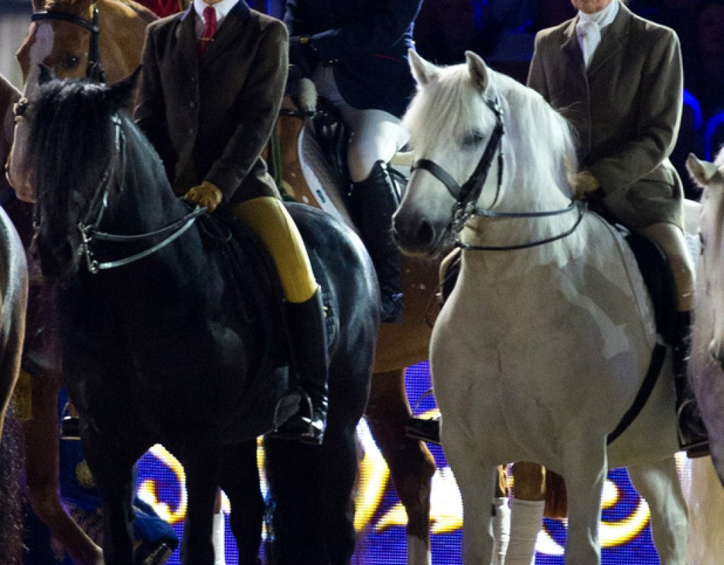 Кралица Елизабет II отпразнува 90 години с 900 коня