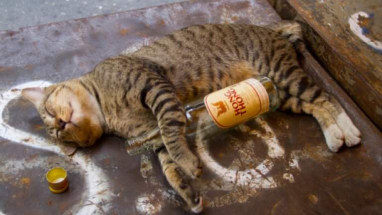 Спирам с извиненията и оправданията и обещавам да пия повече алкохол в онези прекрасни пролетни джазови петъци.