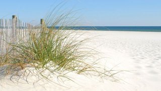 beach