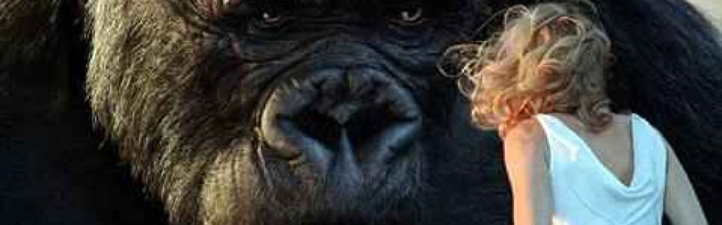 king_kong_pic