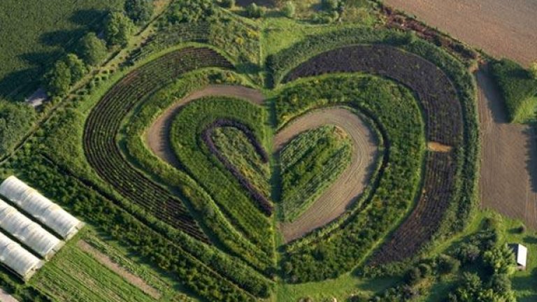 Градина във формата на сърце във Валтроп, Германия