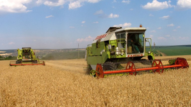 Зърнопроизводителите искат оставката на земеделския министър Мирослав Найденов...