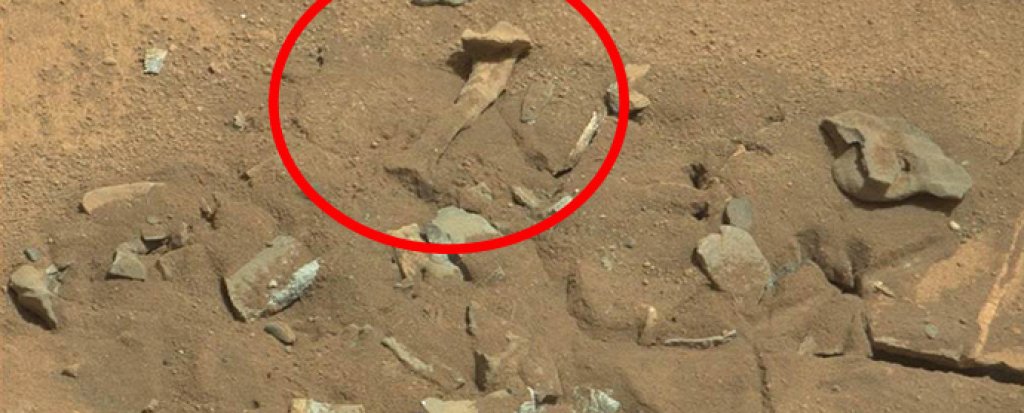 kost-na-mars