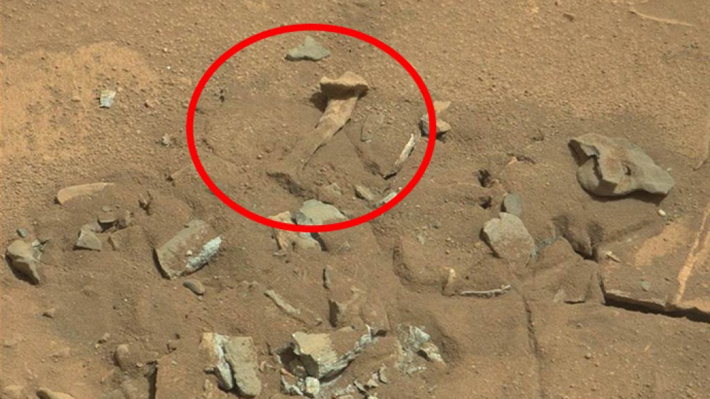 kost-na-mars