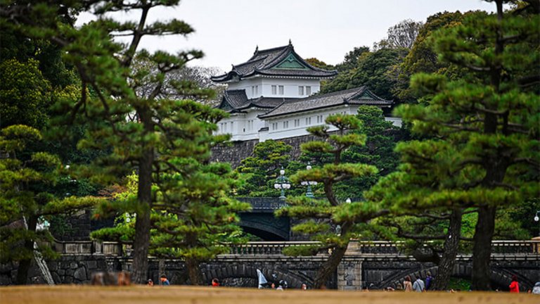 Императорски дворец (лека атлетика)