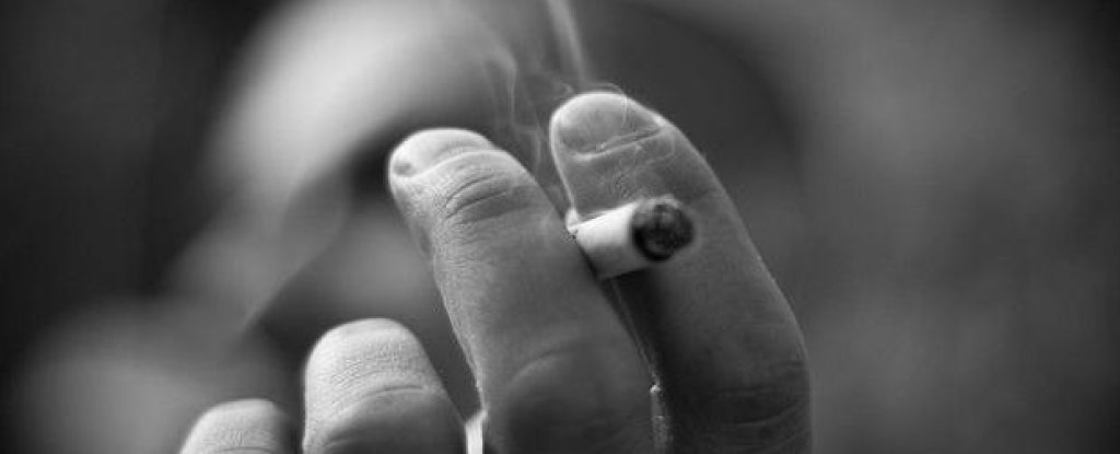 DJ_Smoker_Boroda_Flickr