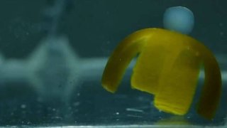 tiny-northwestern-university-robot