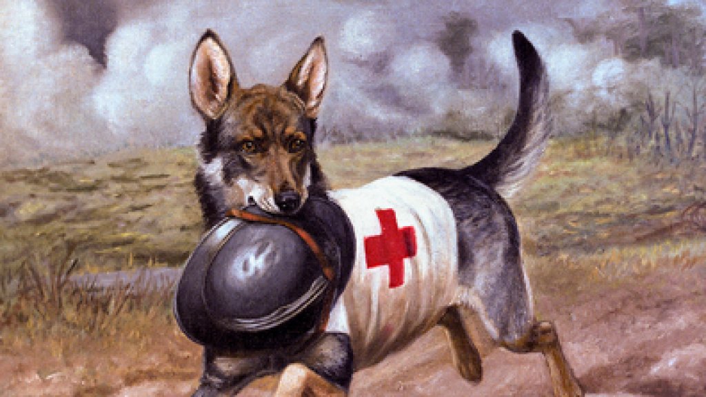 _Red_Cross_Dog__-_Alexander_Pope